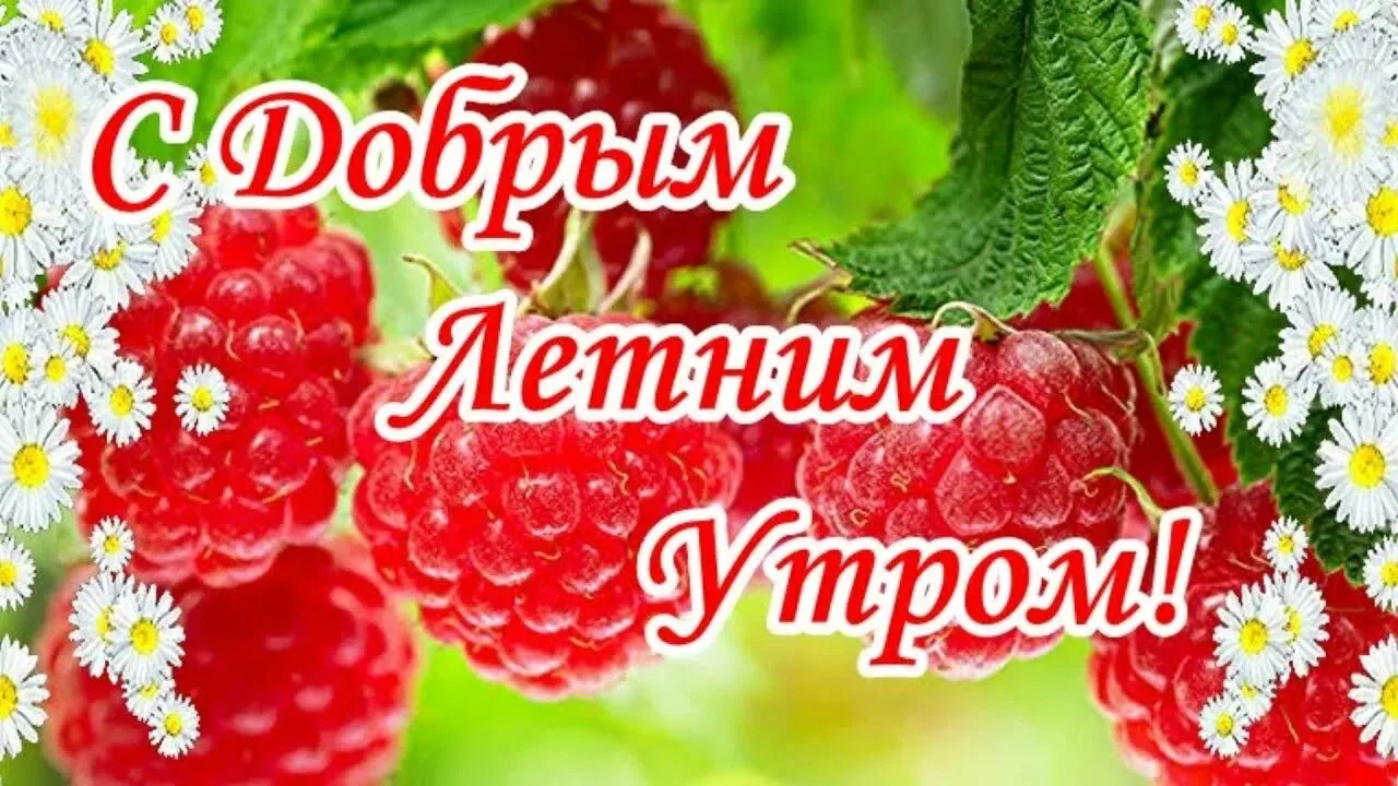 С добрым утром! Пусть каждый момент этого дня будет радостным и успешным!