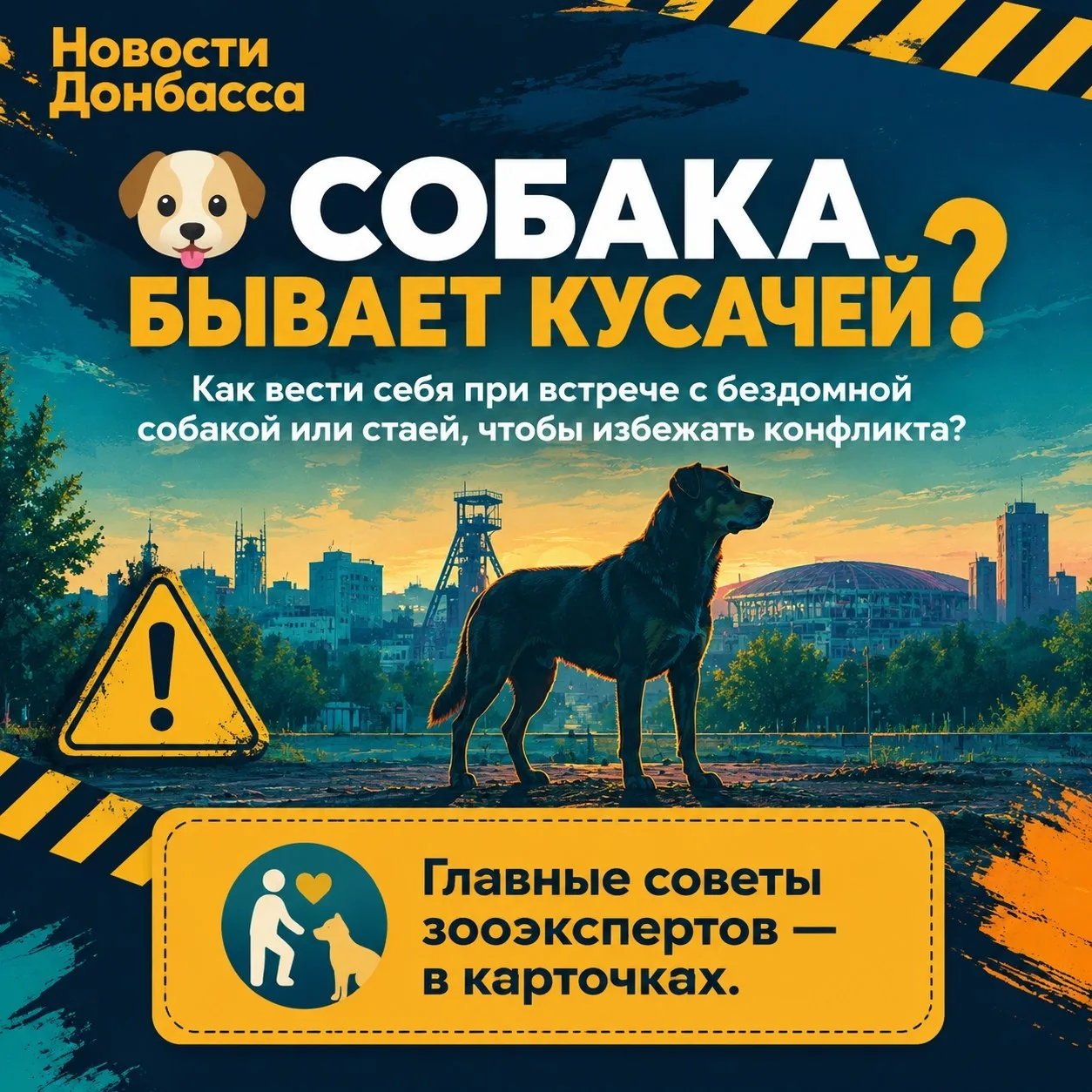 🐕 Как вести себя при встрече с бездомной собакой или стаей, чтобы избежать конфликта?