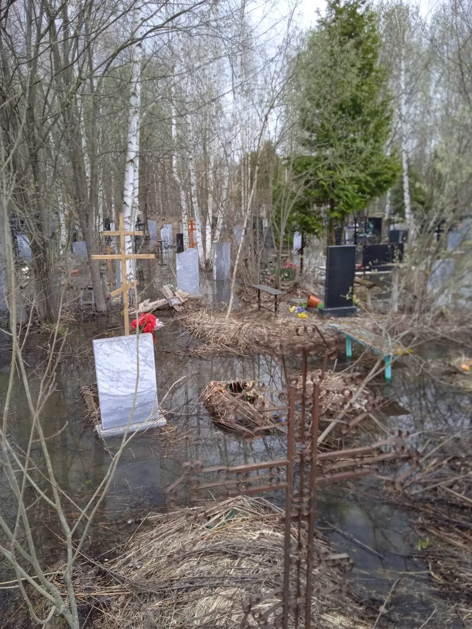🌊 Ново-Стригинское кладбище ушло под воду  Погост на Автозаводе превратился в болото из-за сильного 