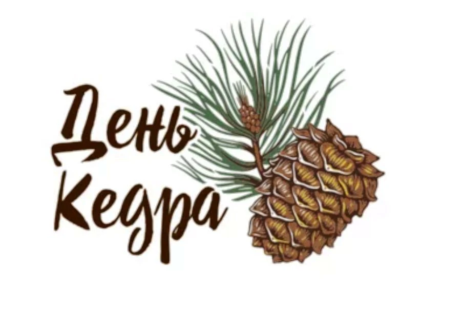 🌲9 сентября отмечается День кедра — экологический праздник, посвящённый сохранению кед...