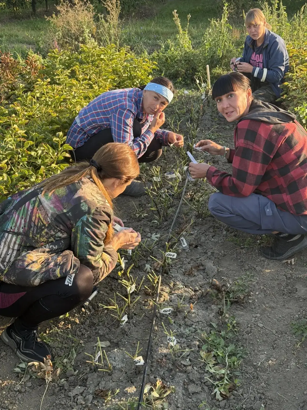 Продолжаем обзор рабочих моментов нашей команды 💪🌿