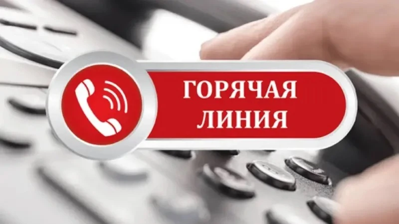 📞 Горячая линия