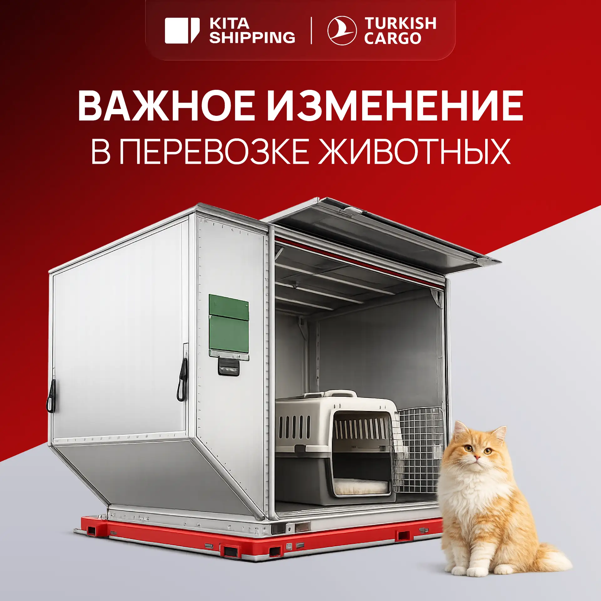 🐾 Важное изменение в перевозке животных