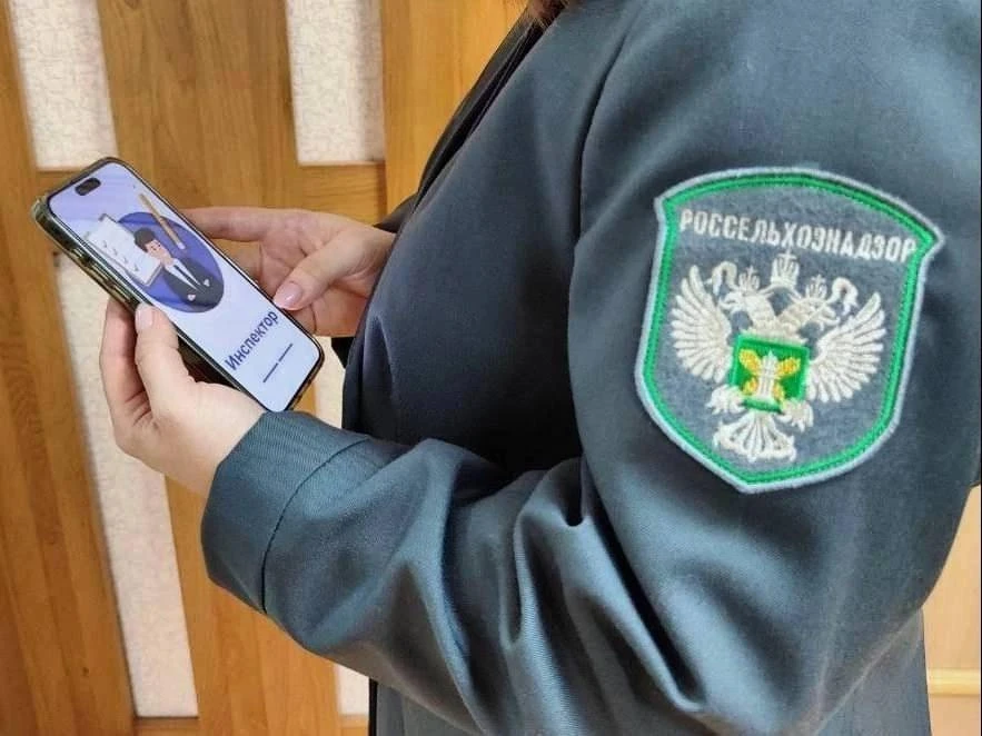 👮‍♀️В Якутии посредством мобильного приложения «Инспектор» проведено 16 профилактическ...