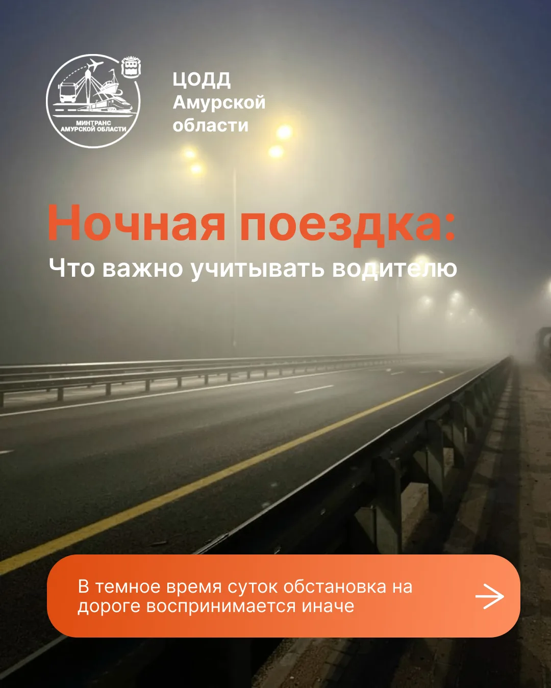 🌙 Ночью все кошки серы, а дороги - полны неожиданностей