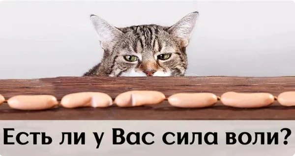 5 октября - День силы воли.Сила воли – одна из основополагающих черт характера современ...
