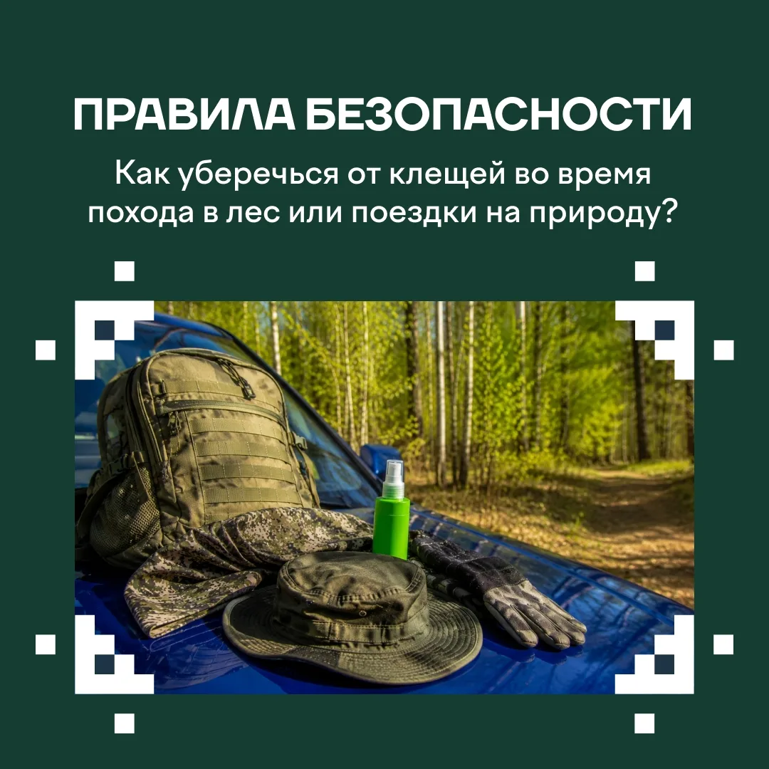 🌿 В наш округ возвращаются солнечные дни, хочется чаще гулять и наслаждаться весенними пейзажами. Но