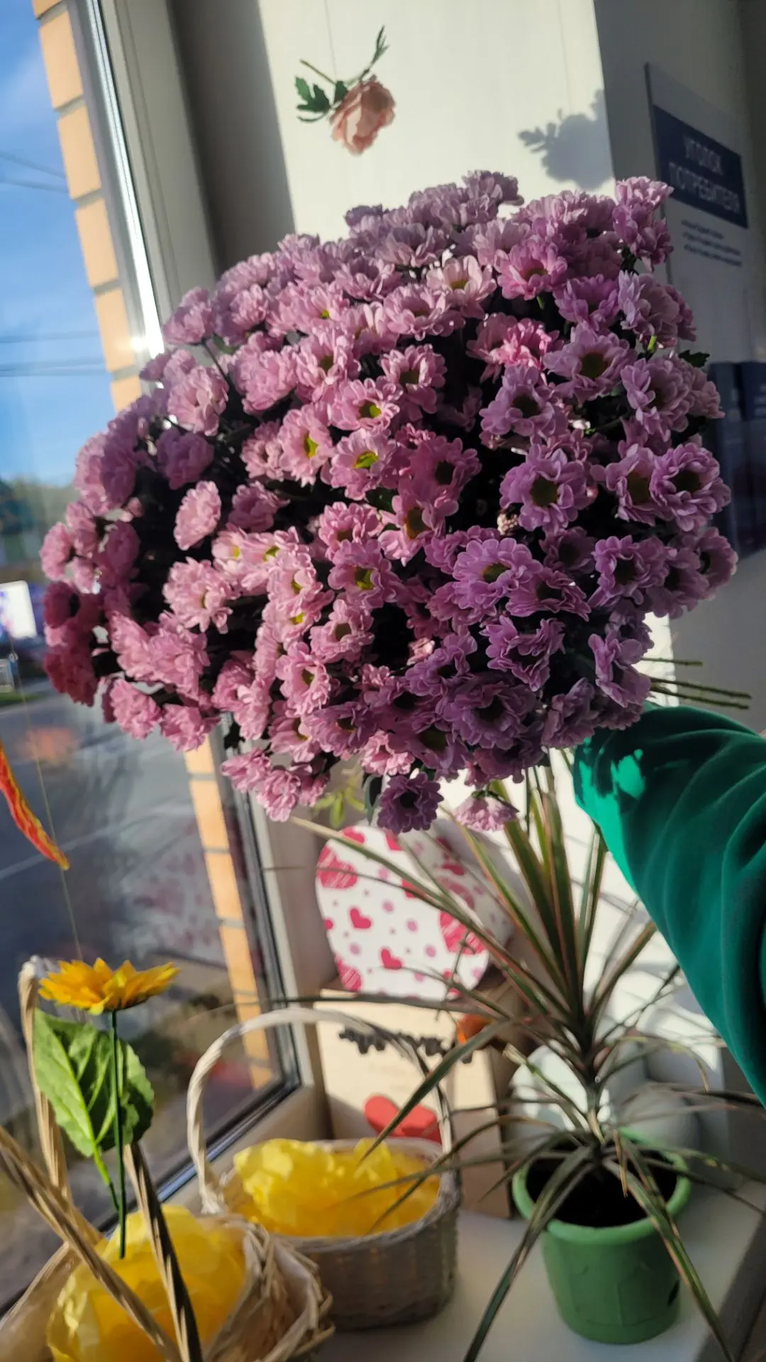 Хризантема "Сантини" 💐