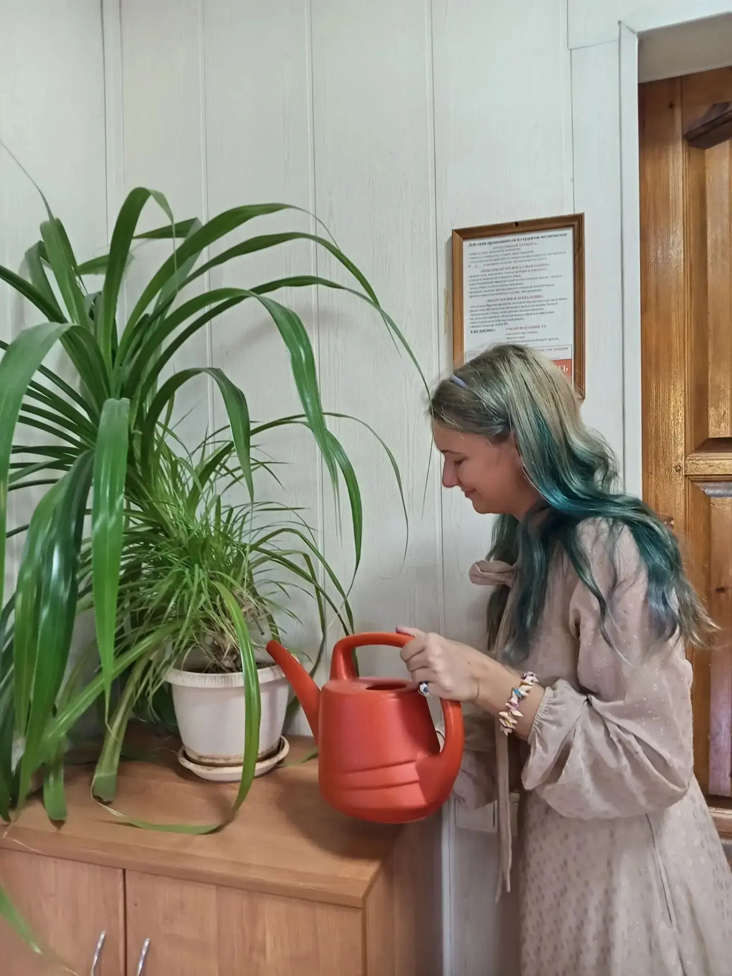 🌿 Мобильный сад на пороге: студенты специальности «Садово-парковое и ландшафтное строи...