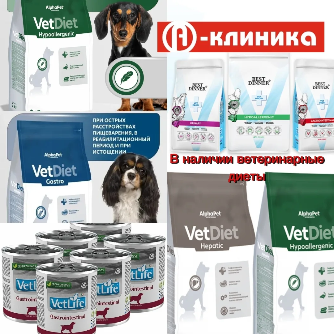 🐾 В наличии ветеринарные диеты для кошек и собак! 🐾