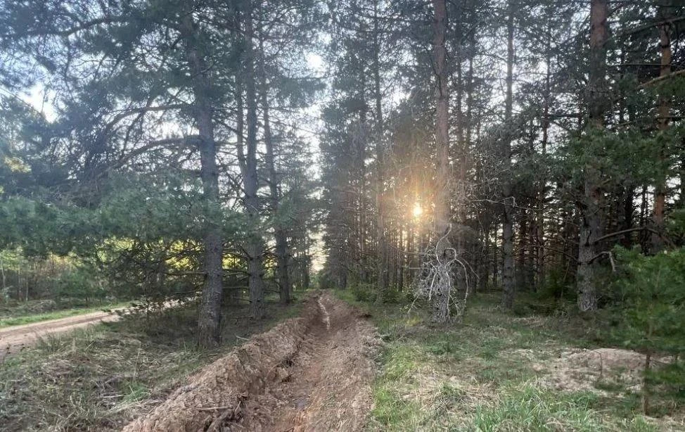 🌲На территории Орехово-Зуевского лесничества активно проводятся работы по противопожар...