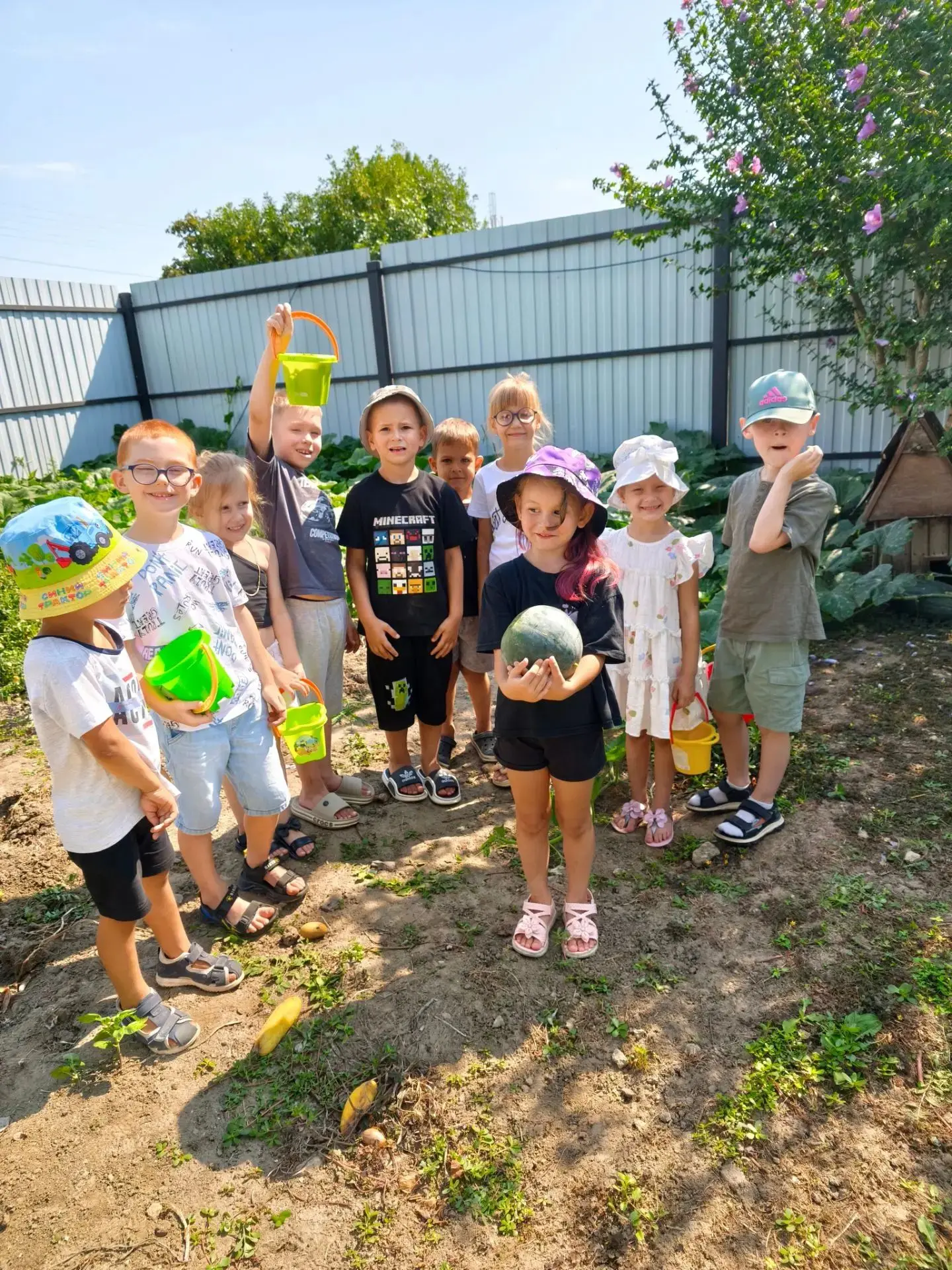 🍅🍉 Ура, урожай! 🍉🍅