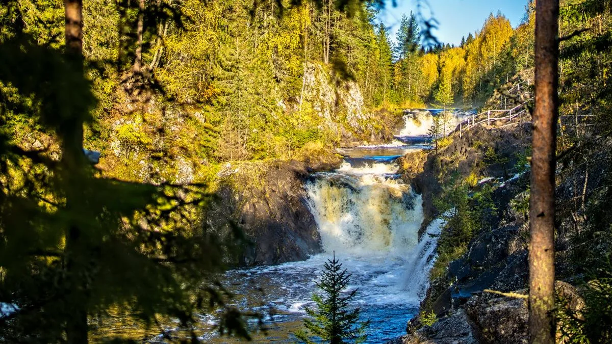 🌲 Что посмотреть в Карелии: места, которые остаются в сердце!  Карелия — это про тишину, силу природ