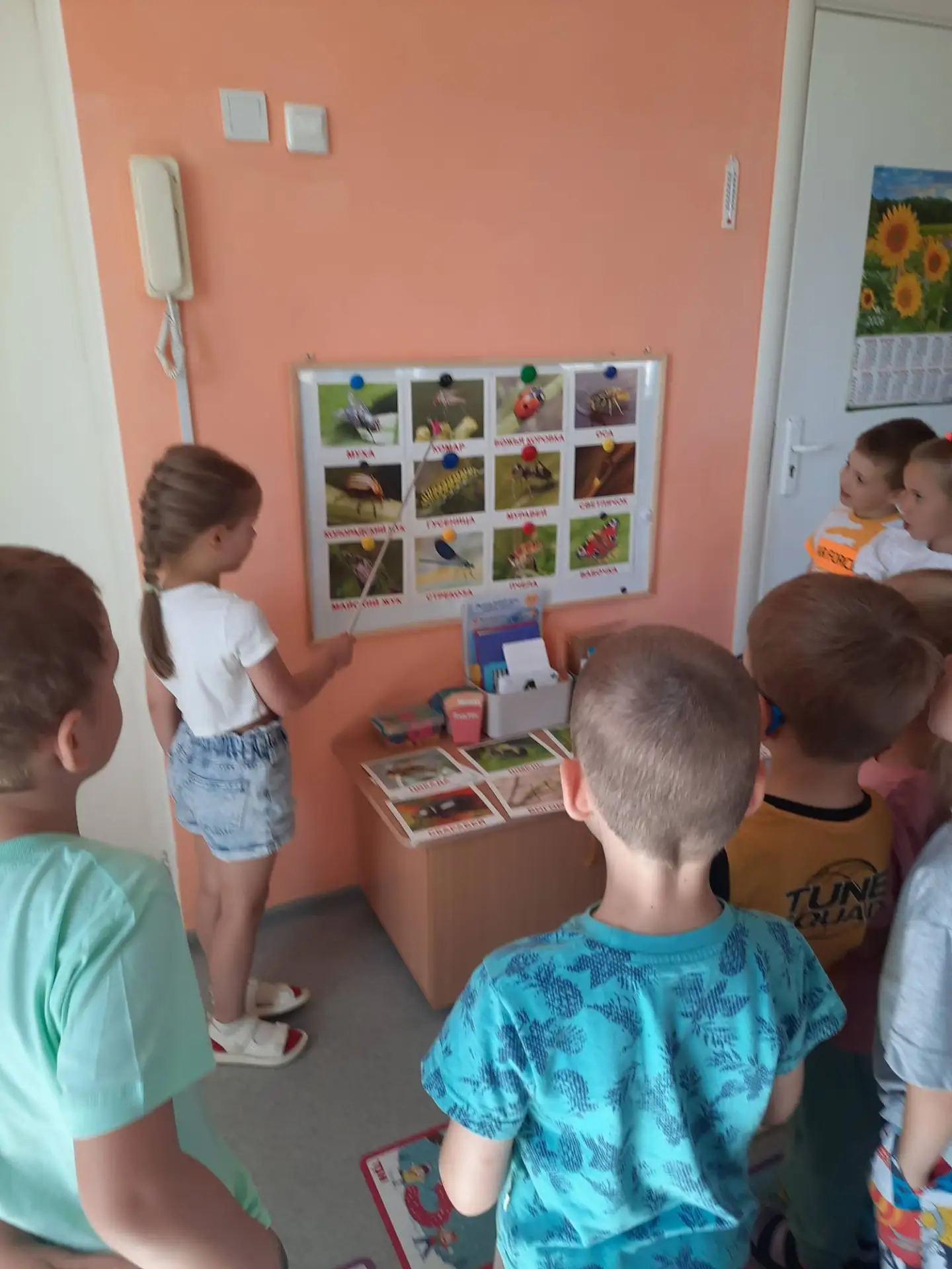 В дошкольном возрасте дети активно познают окружающий мир.Среди всех представителей живой природы, н