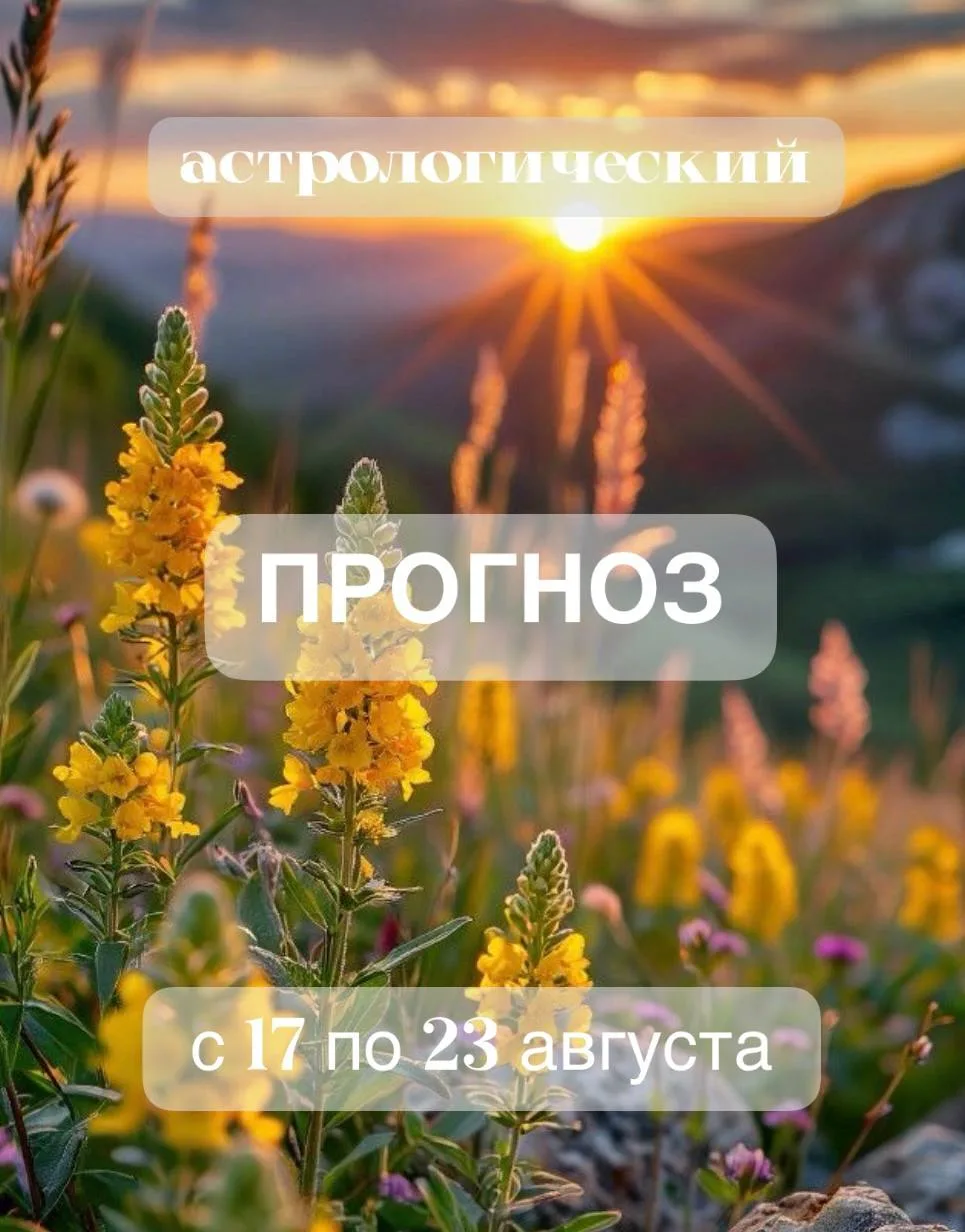 Всем доброго дня! 😊