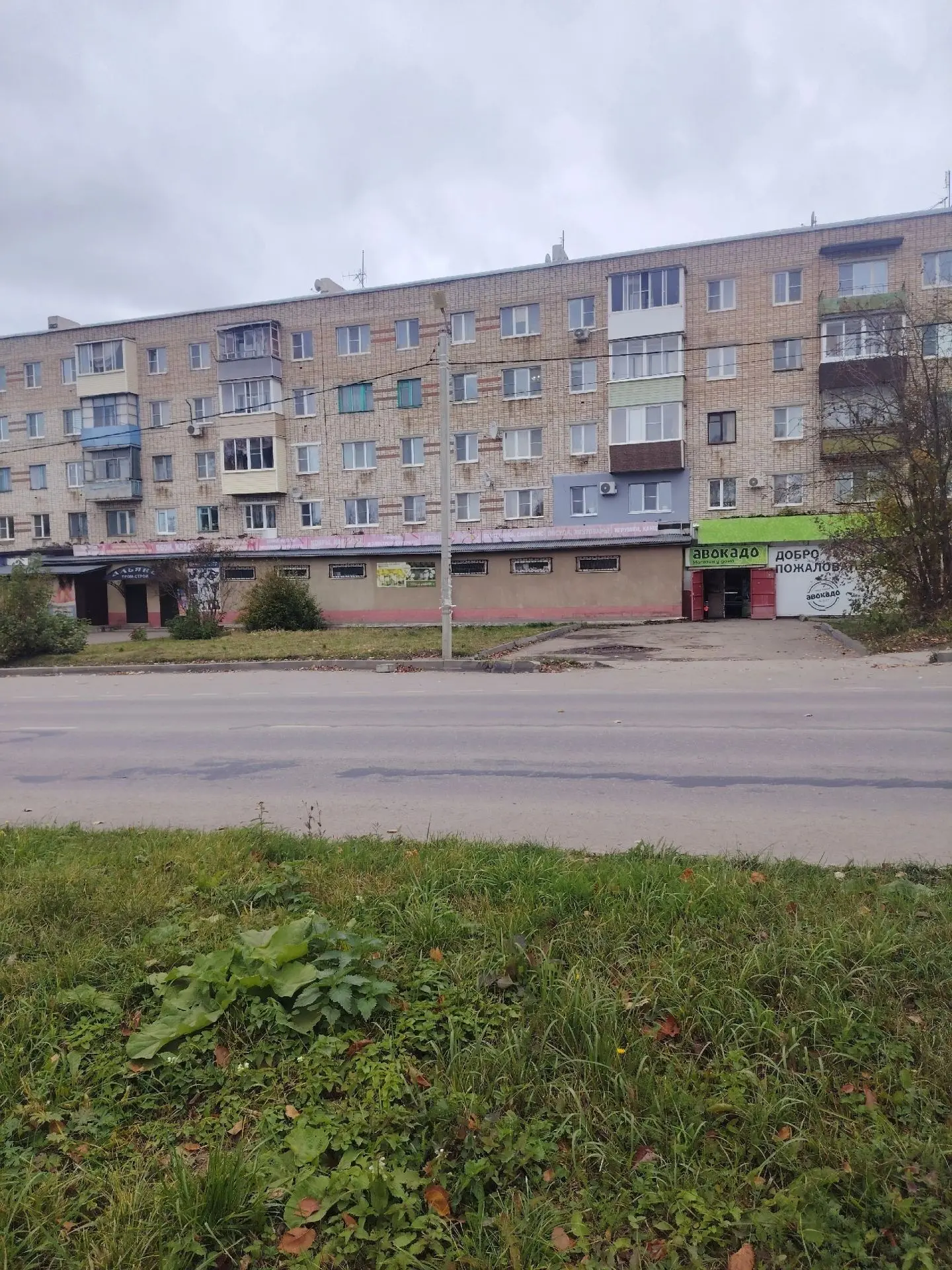 😱На Заводской на обочине дороги лежит мертвый котик (кошечка). Рыжий с белым цвет. Вид...