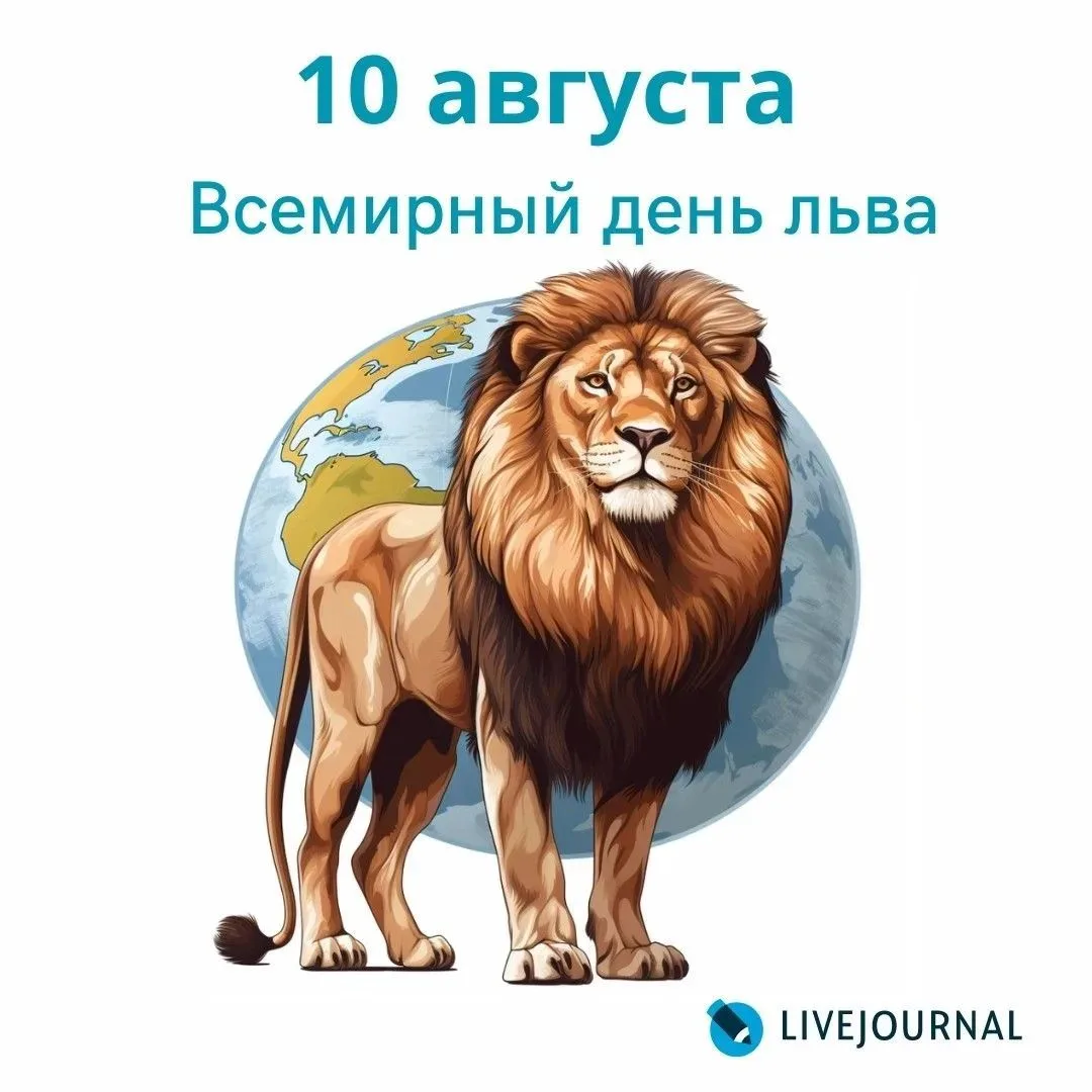 День льва🦁: рычали, творили, узнавали!»