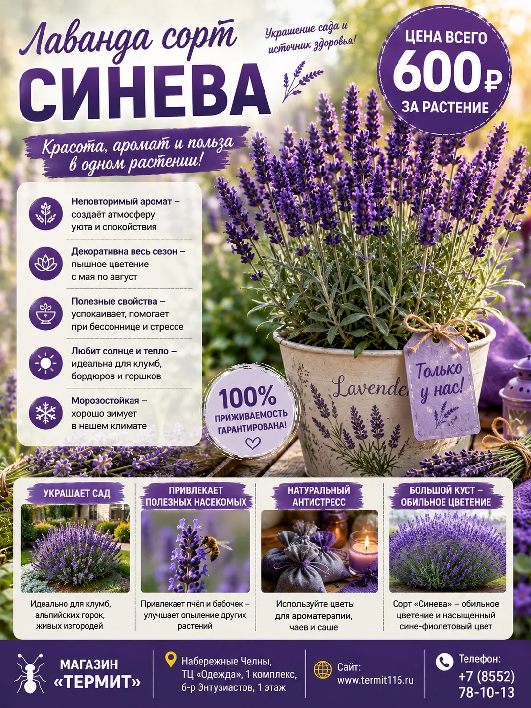 Доброе утро, друзья! 🌞💜

Желаю вам отличного дня, солнечного настроения и приятных садовых хлопот!