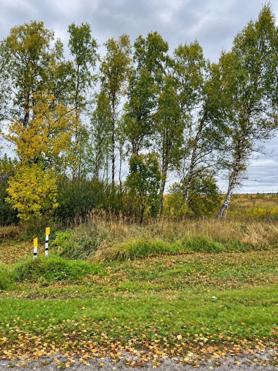 🍁 Кадр дня