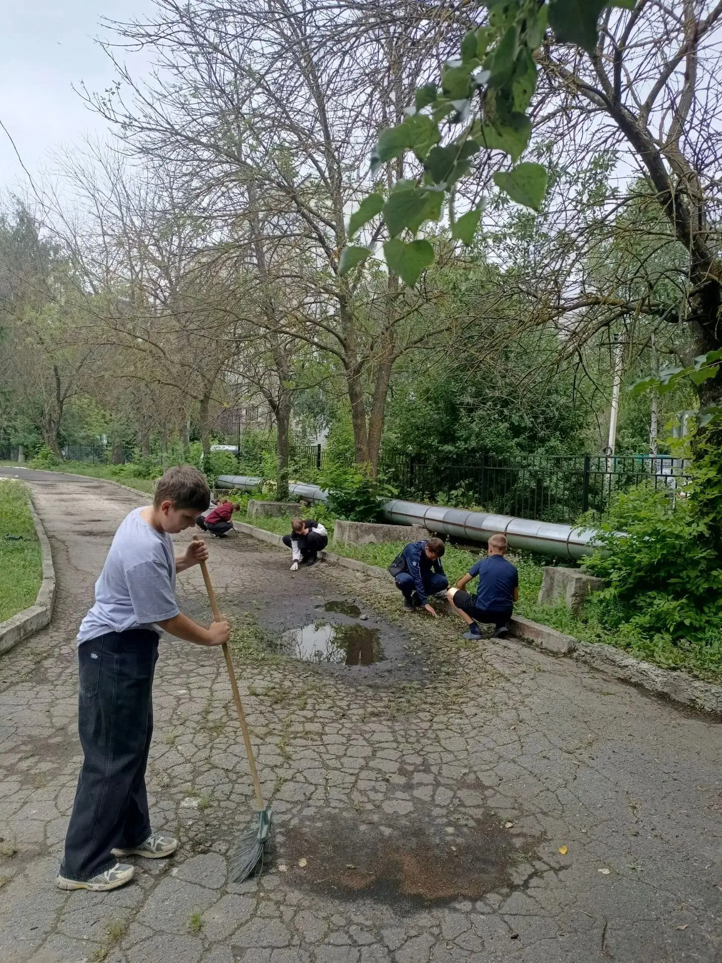 Есть что-то особенное в том, чтобы видеть, как плоды твоего труда расцветают на глазах. Именно такую