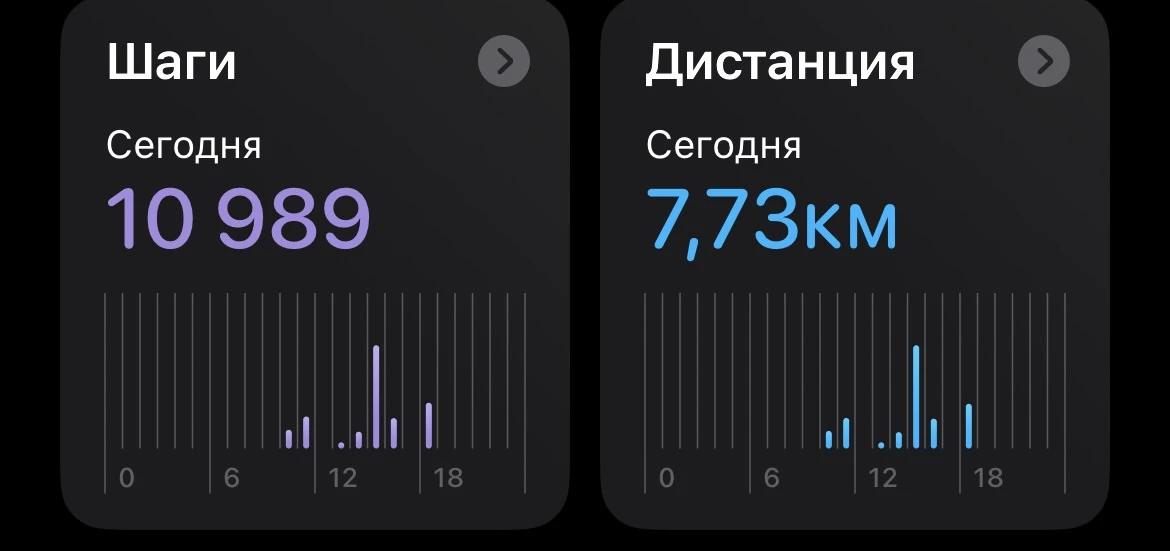 Успели до дождя находить активность, как у вас с активностью пишите в комментарии ❤️