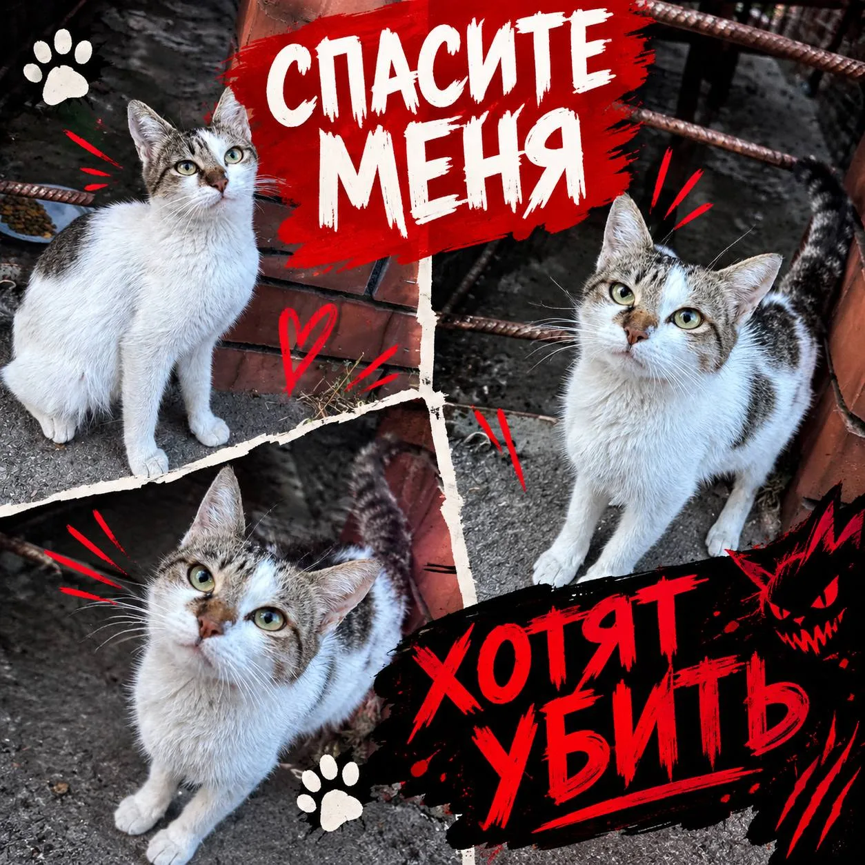 📍 Ростов-на-Дону