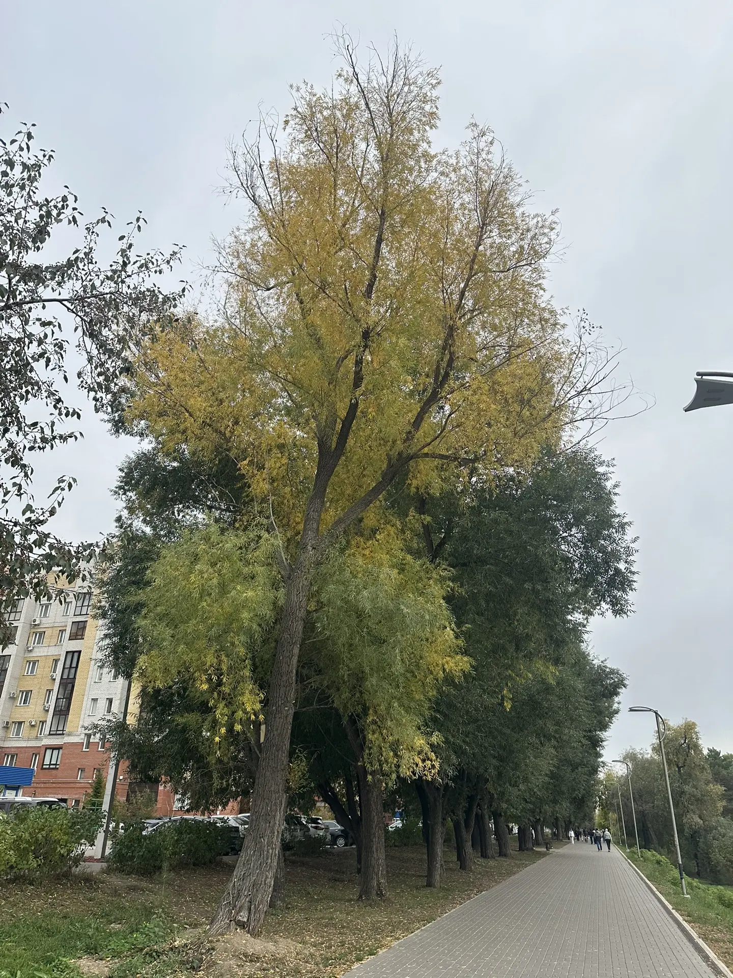Девочки, прощаюсь с вами до завтра 🥱