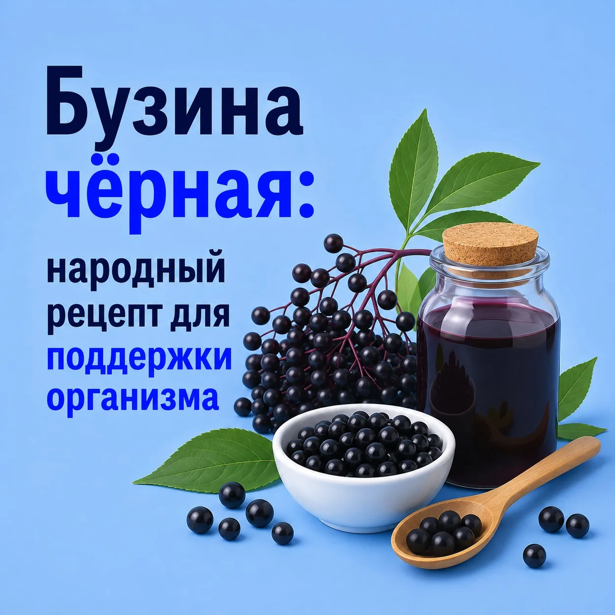 🫐 Бузина чёрная: народный рецепт для поддержки организма