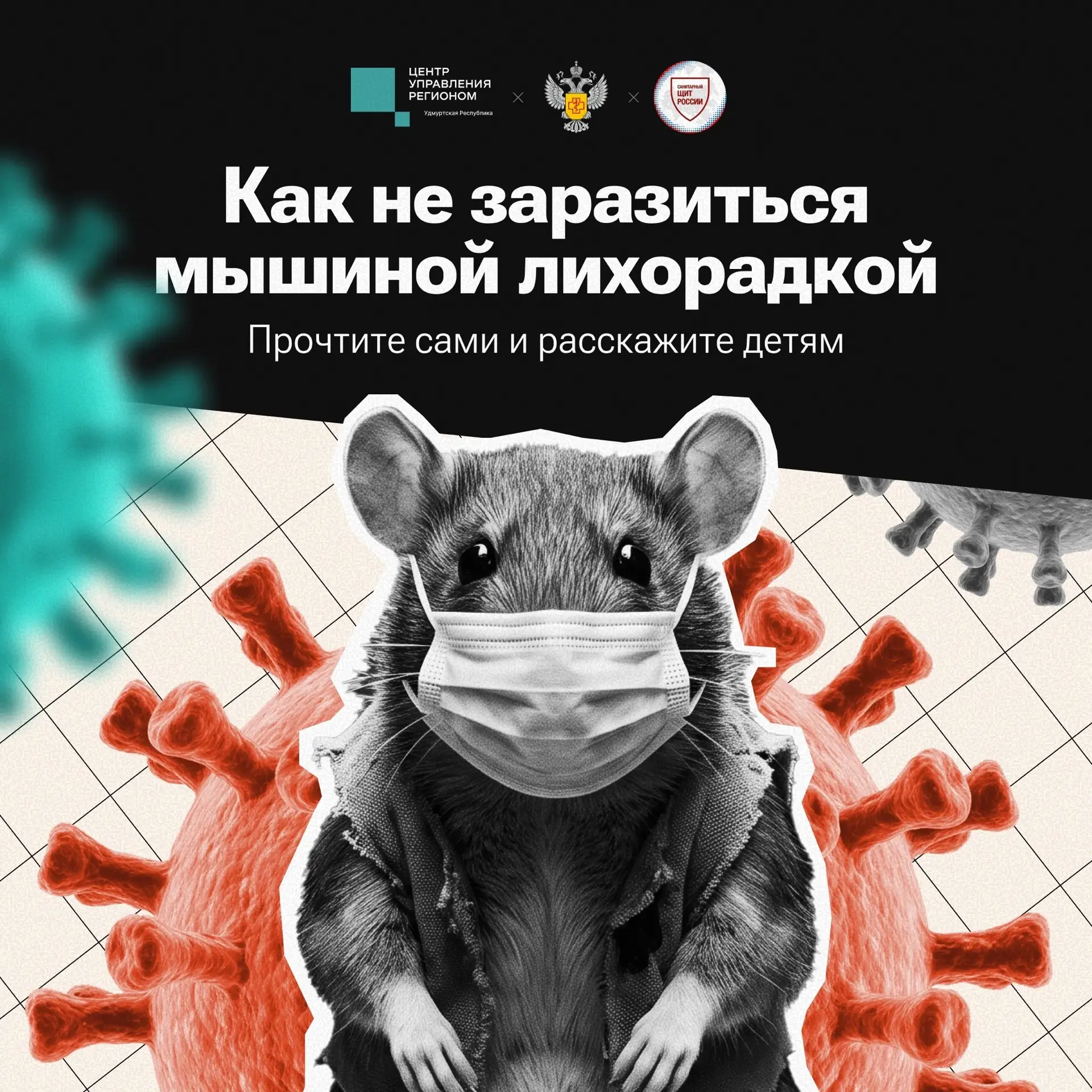 🐭  Каждый 10-й житель Удмуртии заразился мышиной лихорадкой во время рыбалки, охоты и сбора ягод и 