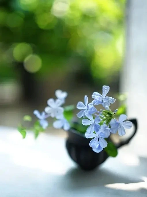 Делимся эксклюзивным контентом ,успей подписаться ✍️

🌷Лунное солнце/Рассказы фэнтези 
Фэнтези, сот