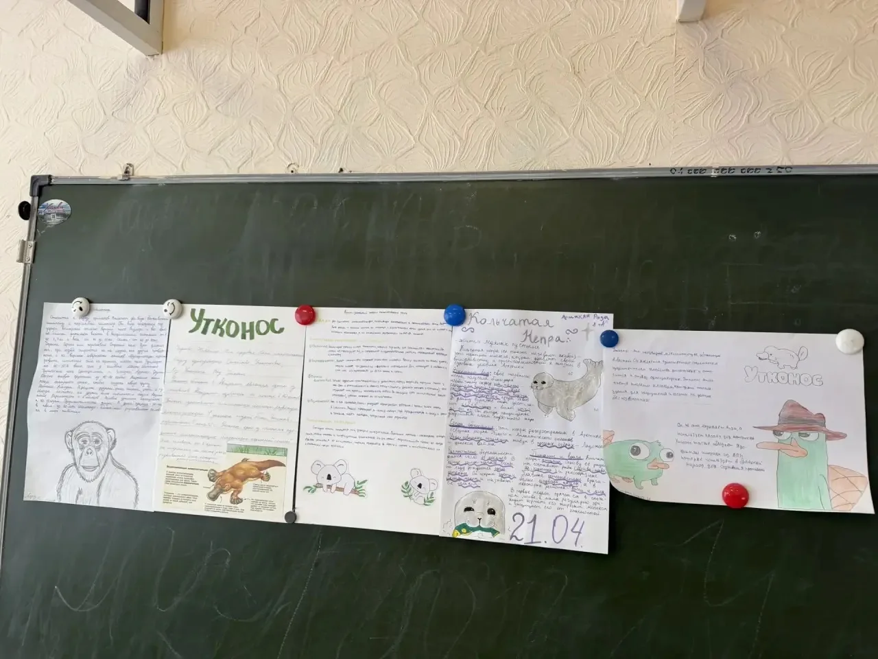 В 8-х классах прошёл урок на тему «Многообразие млекопитающих и их значение в природе и жизни челове