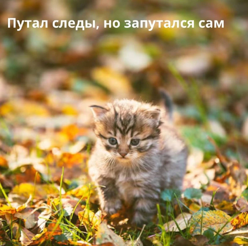 🍂 Туляки, доброго утра!