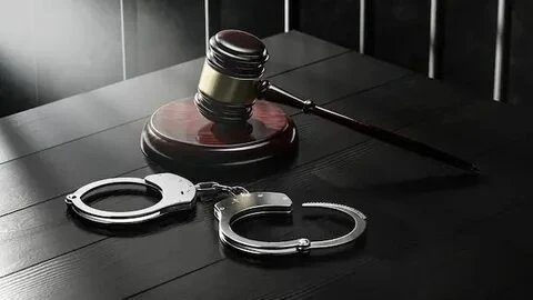 Судебная коллегия сочла наказание в виде пожизненного лишения свободы соразмерным совер...