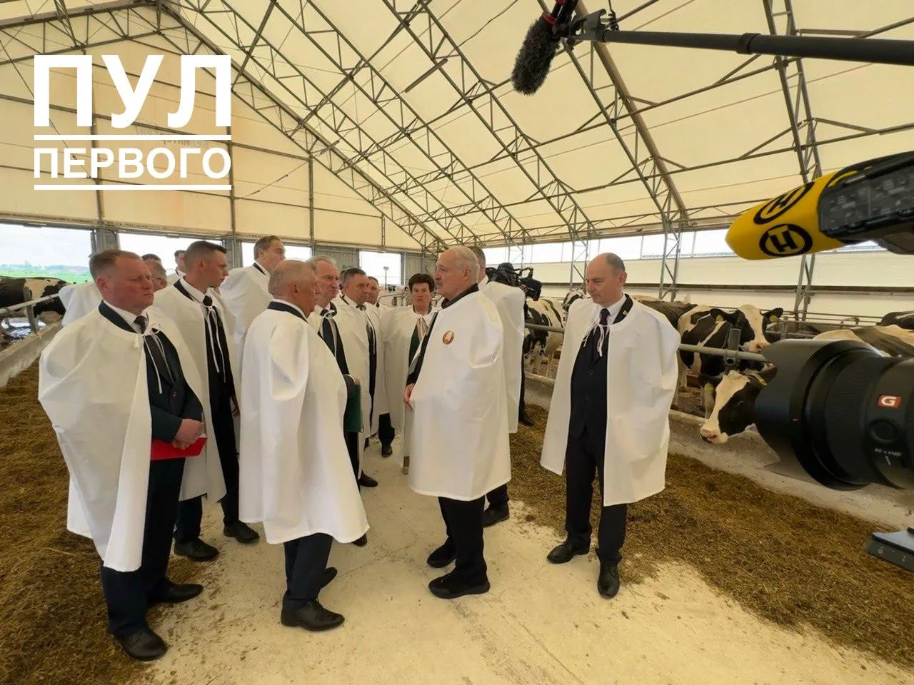 🐄 Рыжую буренку Мусю подарили Александру Лукашенко на ферме в Минской области. Ее пред...