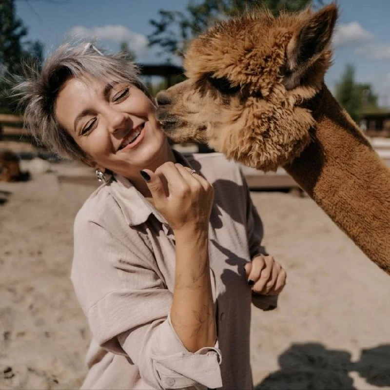 🦙 Семейный фестиваль «Альпака-фест» в «Белом колодце»!