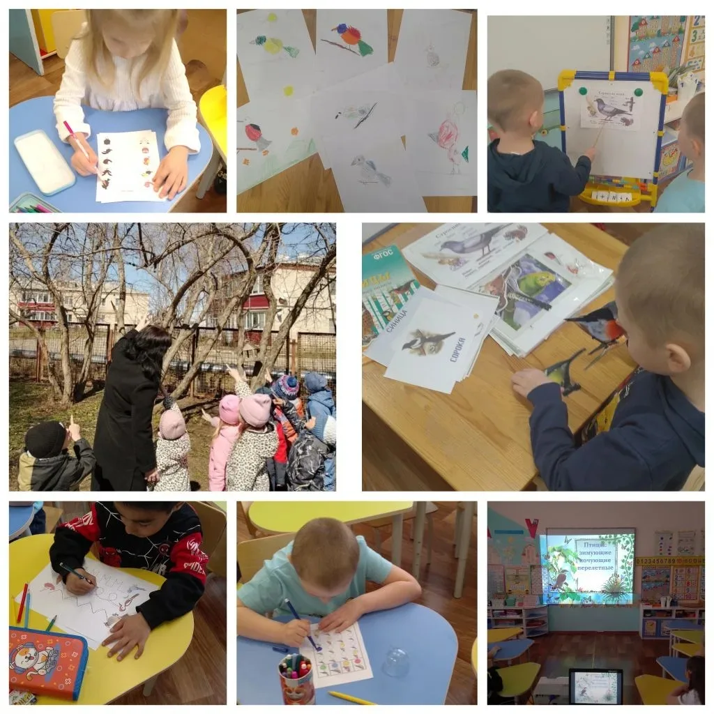 ✅ 🦉Птицы являются составной частью природы. Это наши верные помощники, защитники лесов...