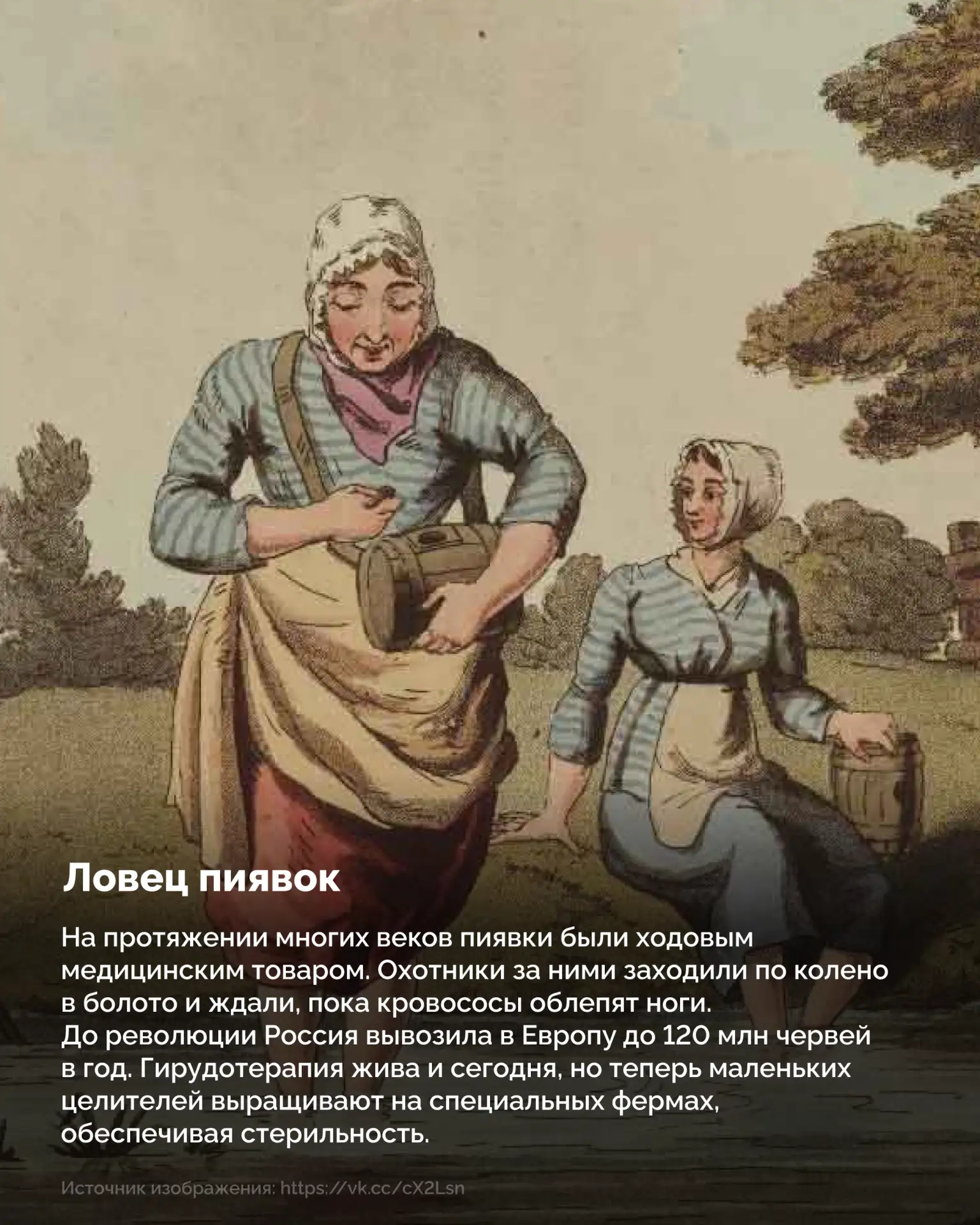 Целовальник, плевальщик и бурлак: профессии, которые мы потеряли 🤔  Еще 100–200 лет назад наши предк