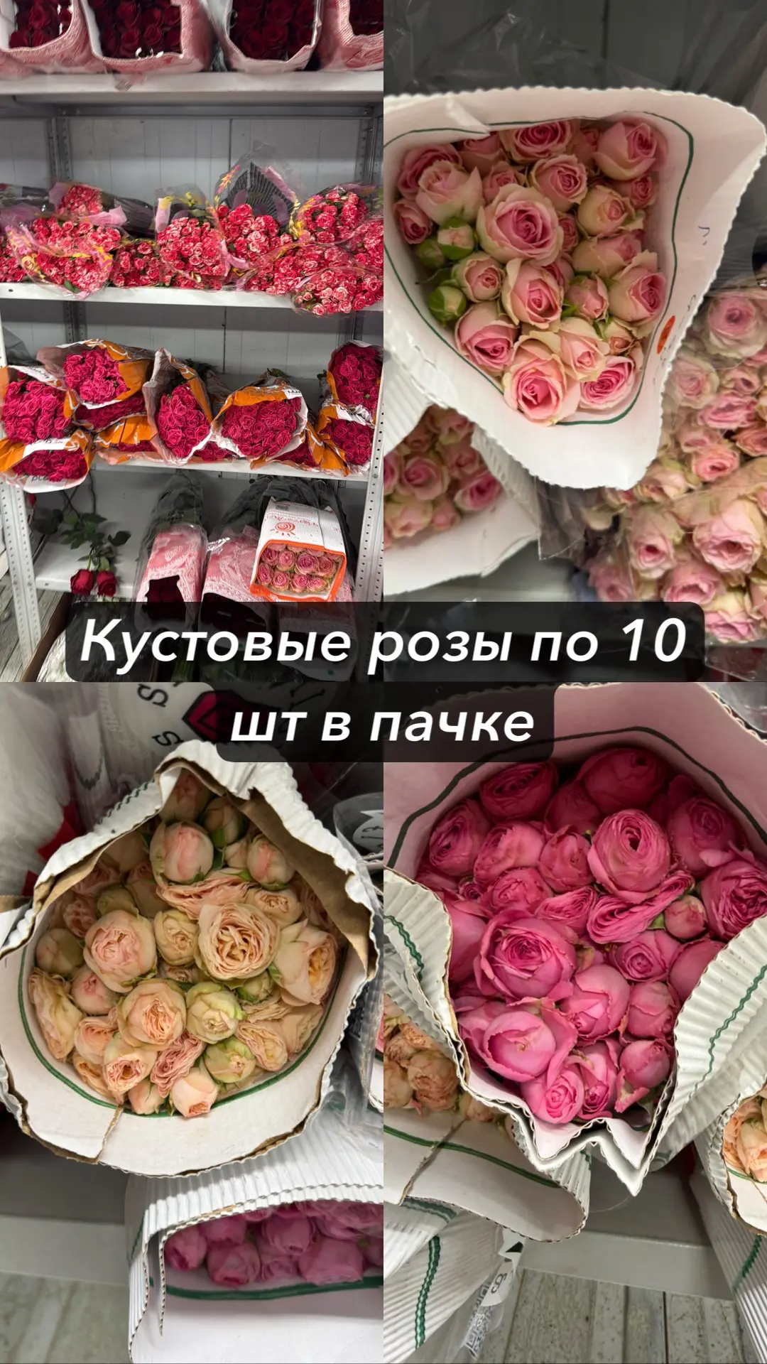 Дорогие оптовики в наличии на складе цветы с новой поставки. Кому скинуть прайс заброни...