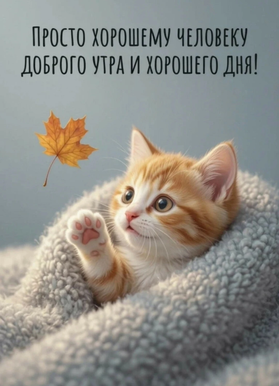 🎀 Красивые открытки