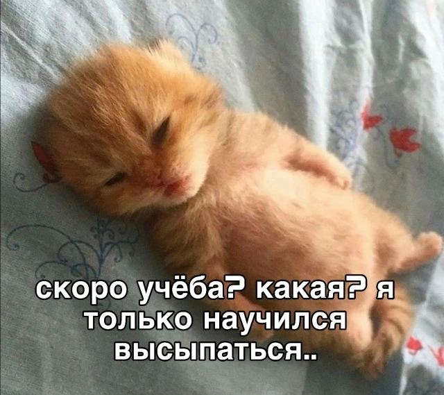 К лету быстро привыкаешь!