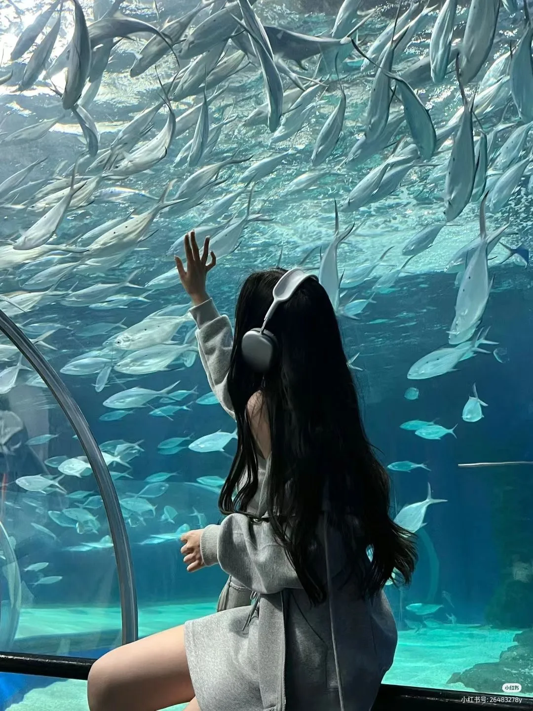 в океанариуме 🐟

ИДЕИ ДЛЯ ФОТО 💫