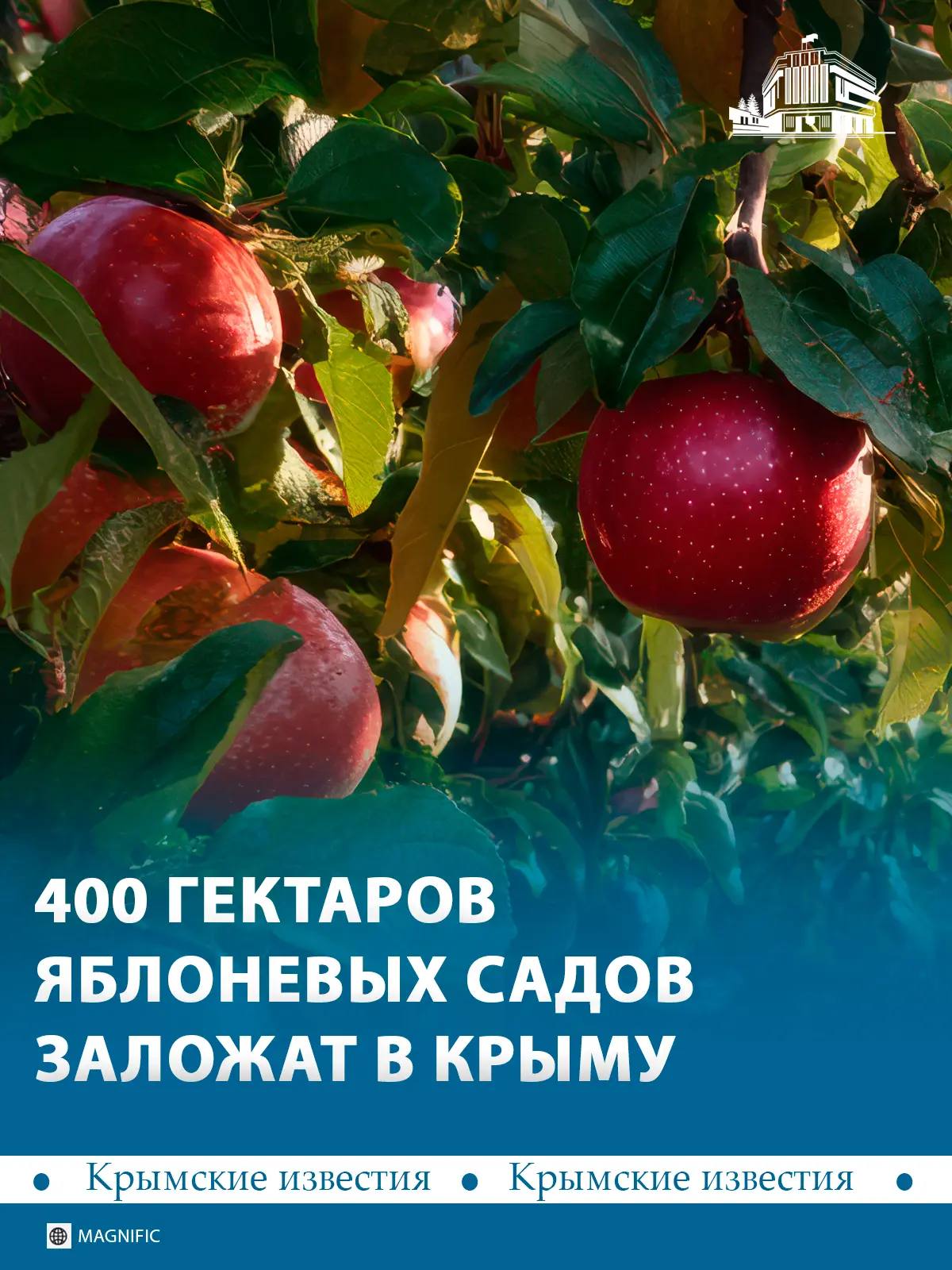 🍎 400 млн рублей получили аграрии Крыма на закладку новых садов. На эти средства высад...