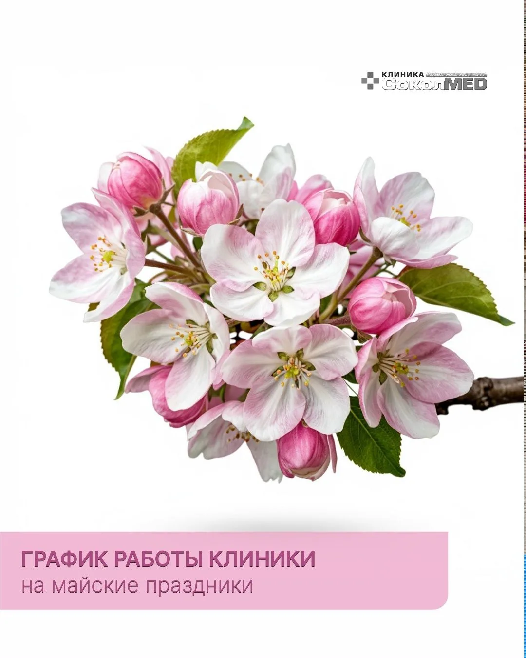 График работы на майские праздники
9 мая - выходной
10 мая
Богомолова Е.П. врач-терапевт, врач-гастр