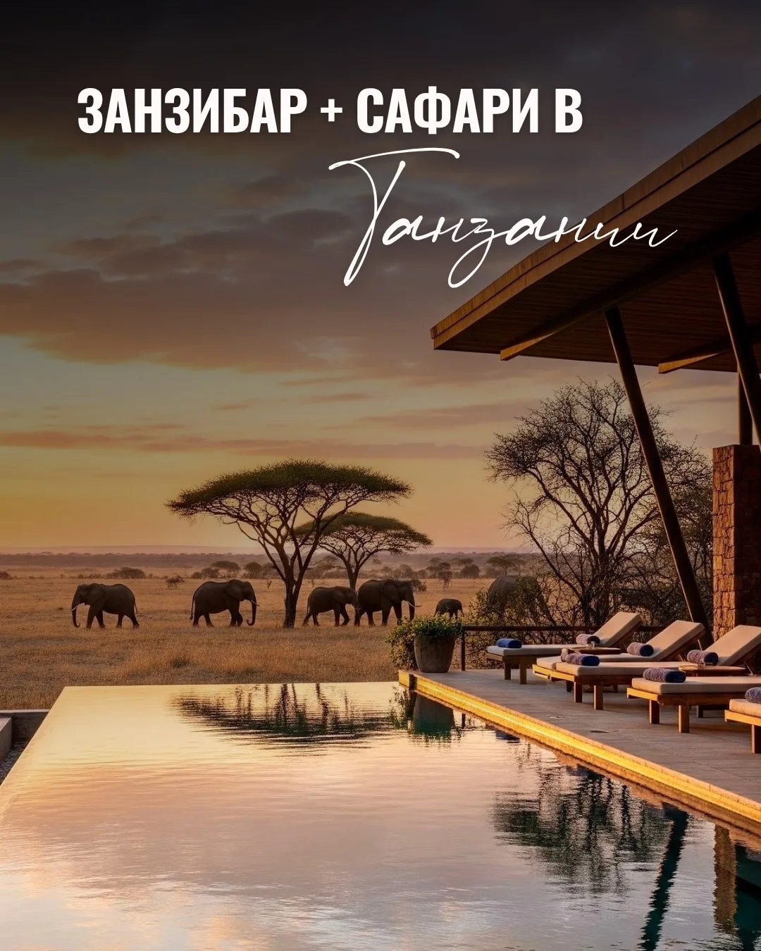 ЗАНЗИБАР + САФАРИ В ТАНЗАНИИ🦒🌴✨
