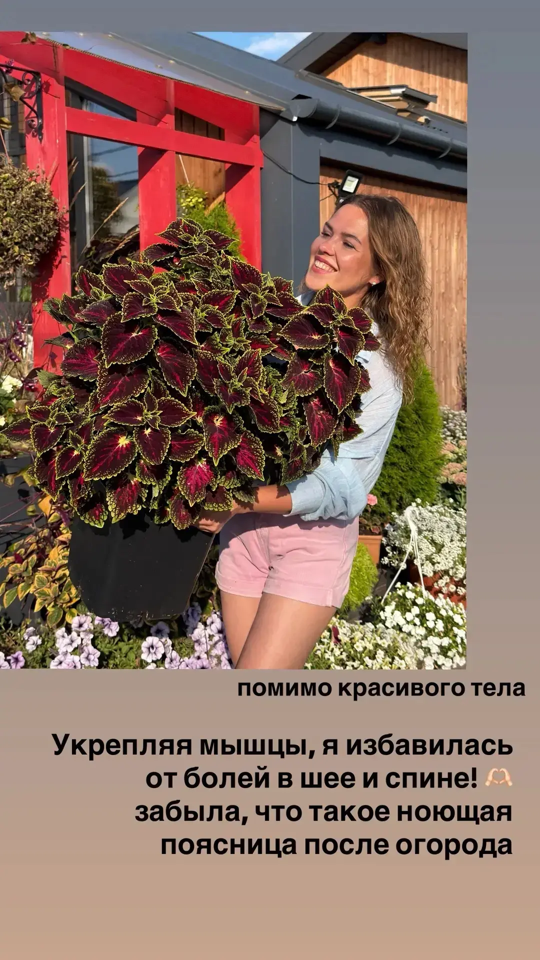 Изображение 2 к публикации «Огород с Зизюлей»