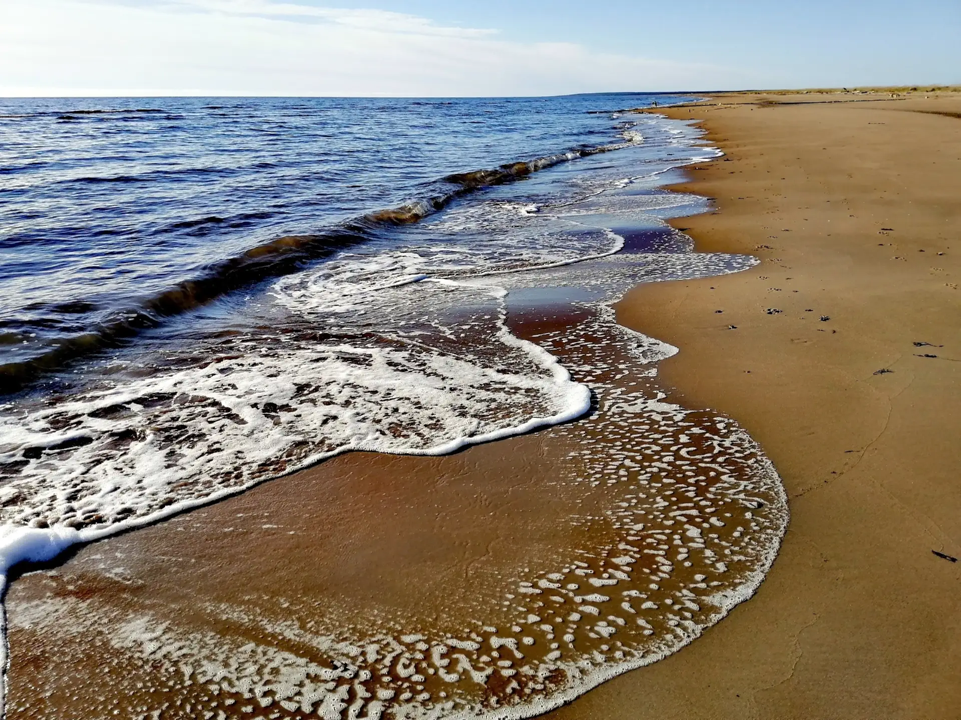 Кузомень,прогулки📸