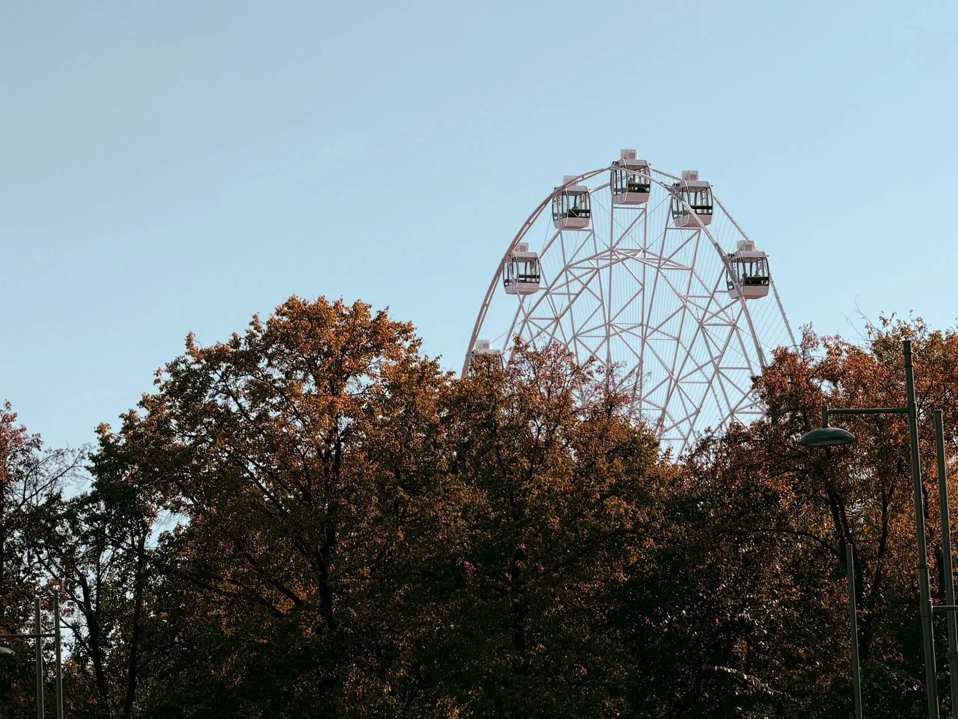 Доброе утро 🌞