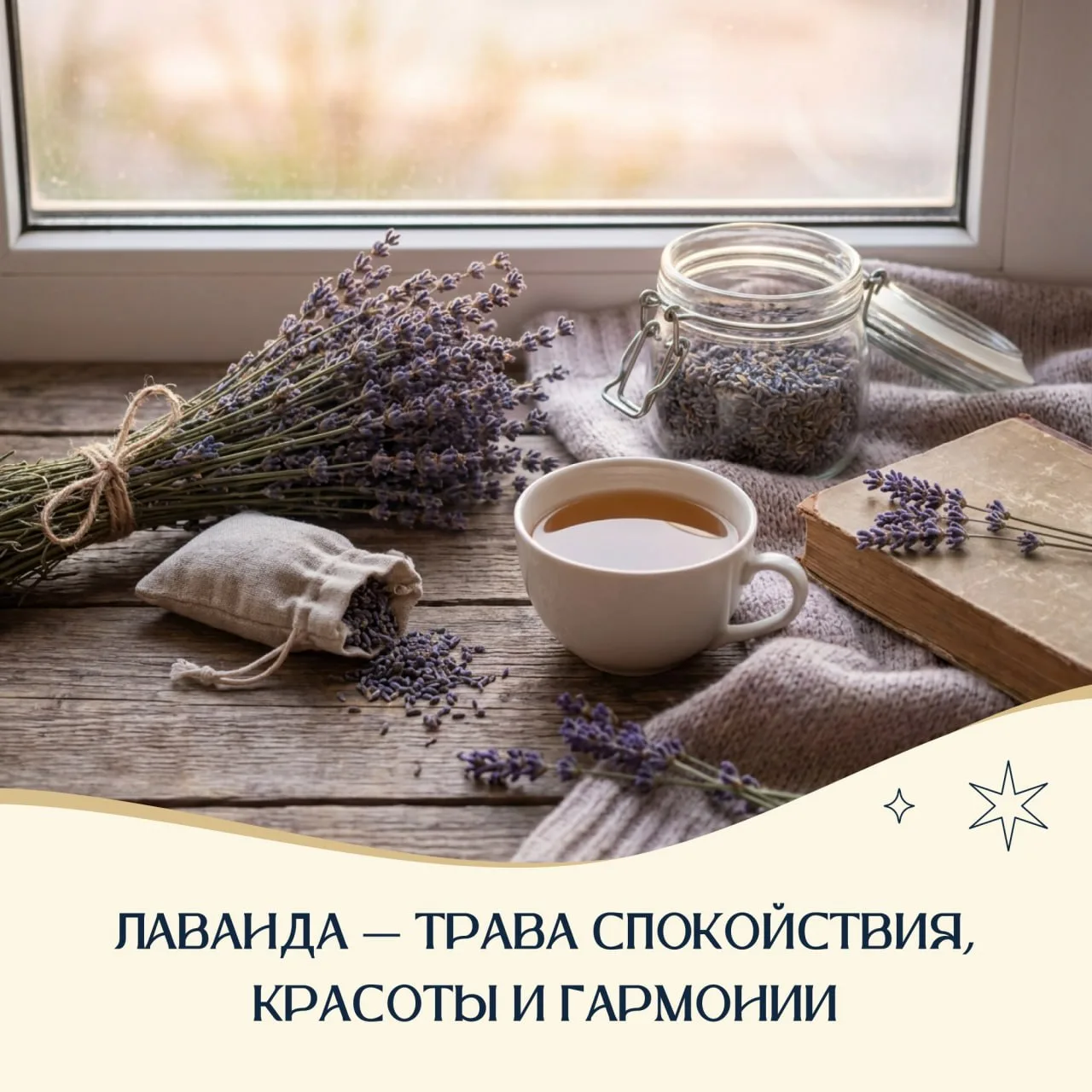 🌿✨ Лаванда — трава спокойствия, красоты и гармонии