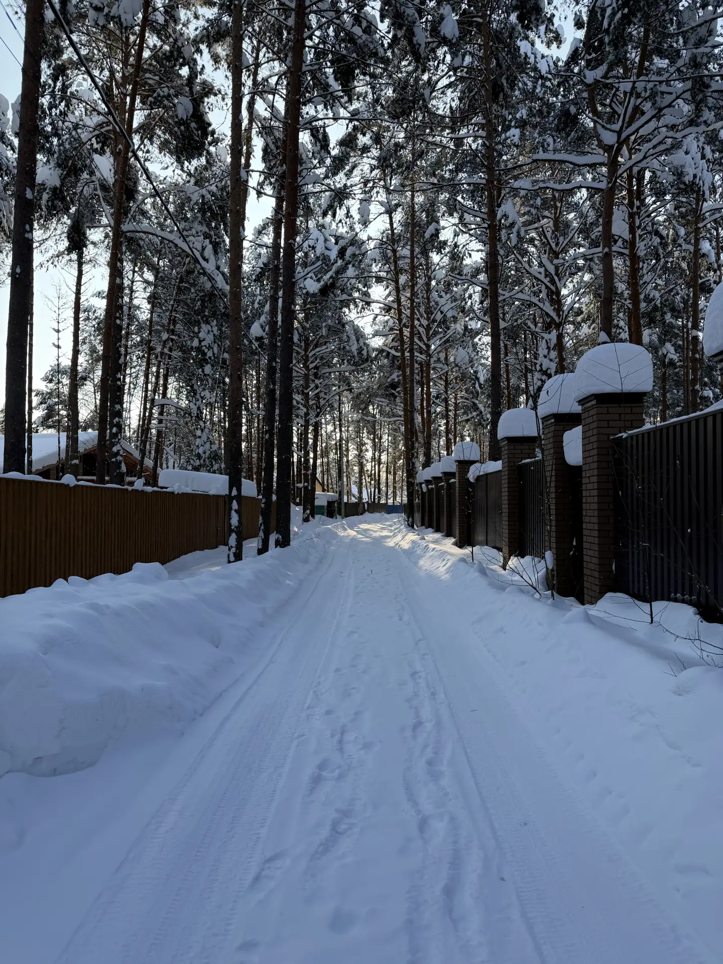 Фотопробег 📸   Марафон голосования. День третий❄️  Голоса засчитываются только от подписанных на наш