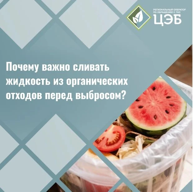 Сочная проблема: почему важно сливать жидкость из органических отходов перед выбросом